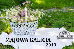 Majowa Galicja 2019 w Nowym Sączu
