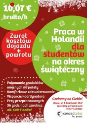 Praca świąteczno-noworoczna dla studentów